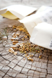 What is an Heirloom Seed? Image